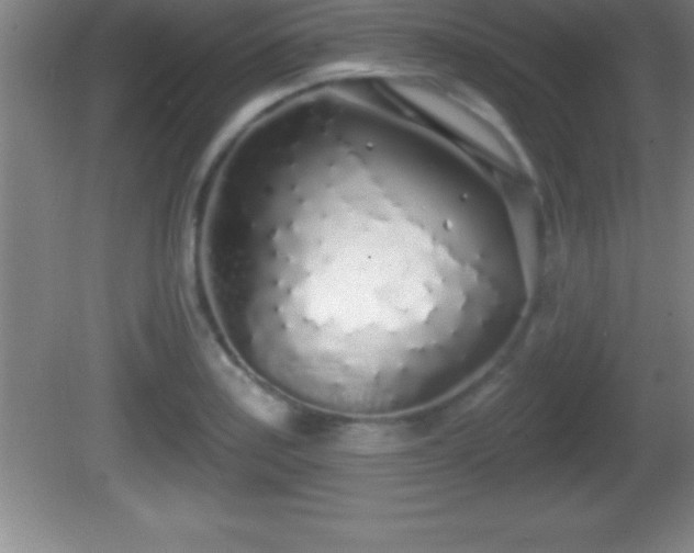 X0000081601179200701221129