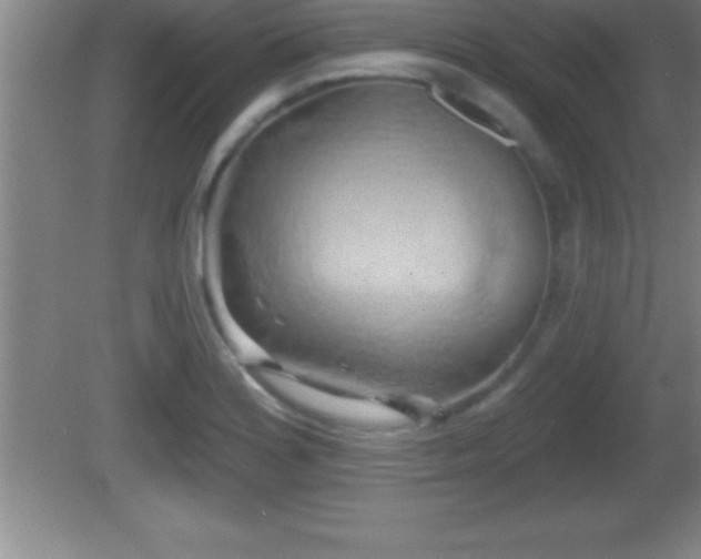 X0000081601180200701221129