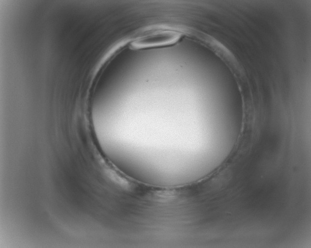 X0000081601182200701221128