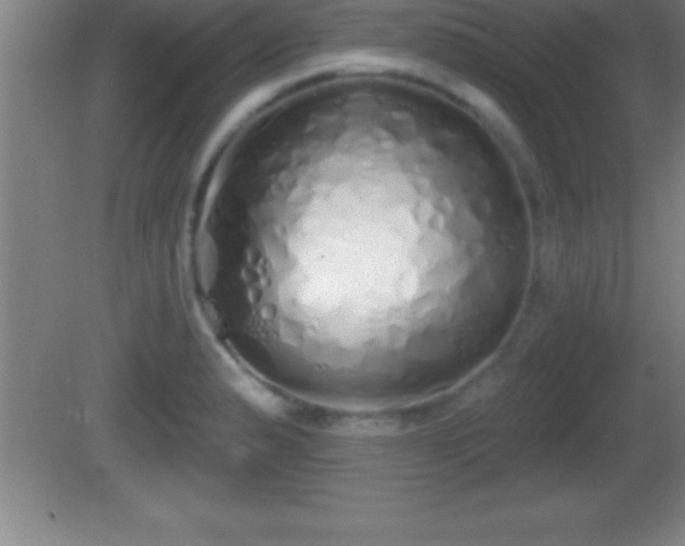 X0000081601183200701221128