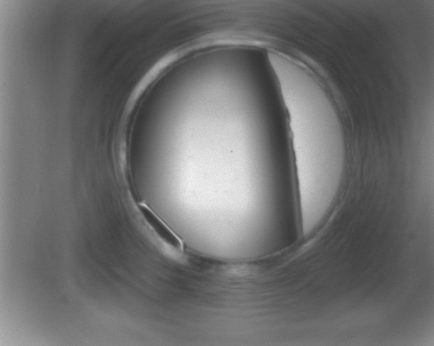 X0000081601188200701221128