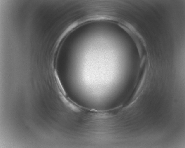 X0000081601189200701221128