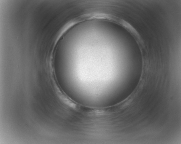 X0000081601190200701221128