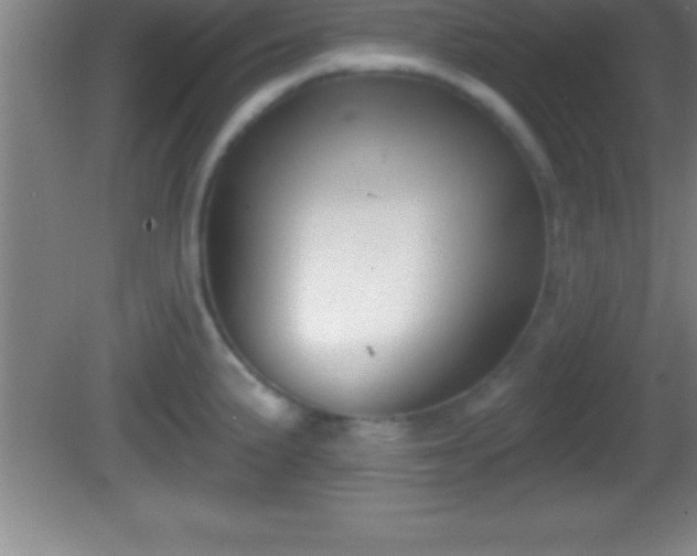 X0000081601191200701221128