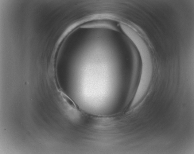 X0000081601192200701221128