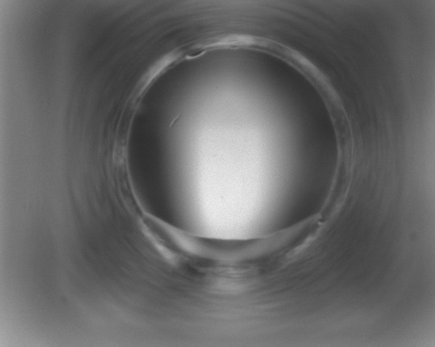 X0000081601193200701221128