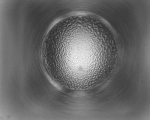 X0000081601194200701221128