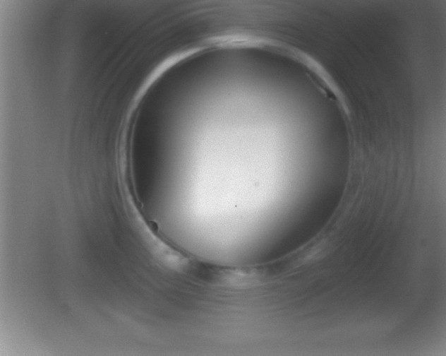 X0000081601195200701221128