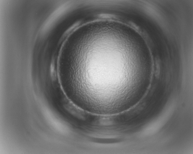 X0000081601198200701221128