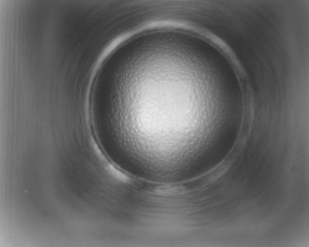 X0000081601199200701221128