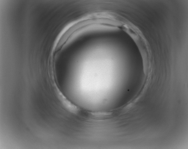 X0000081601200200701221128