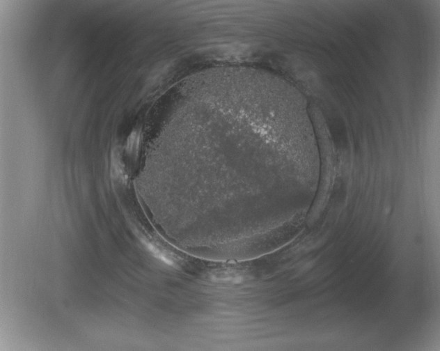 X0000081601202200701221127