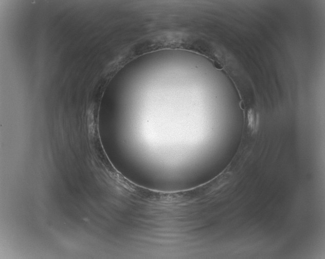 X0000081601203200701221127