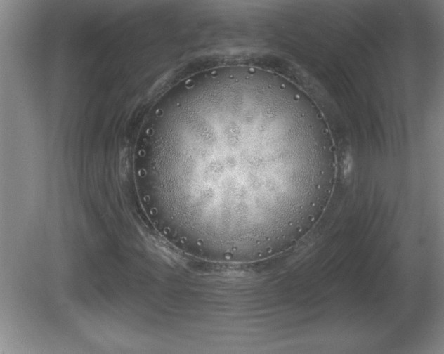 X0000081601204200701221127