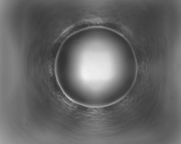 X0000081601205200701221127