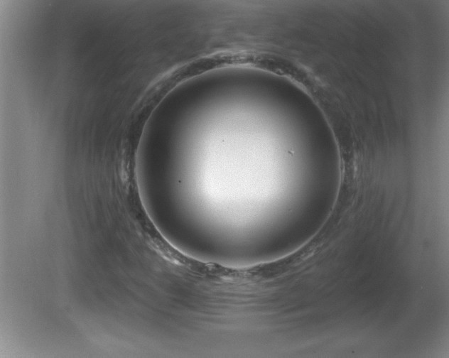 X0000081601206200701221127