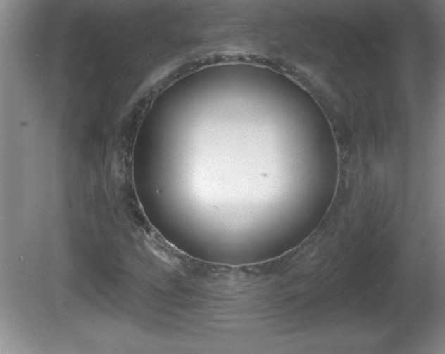 X0000081601207200701221127