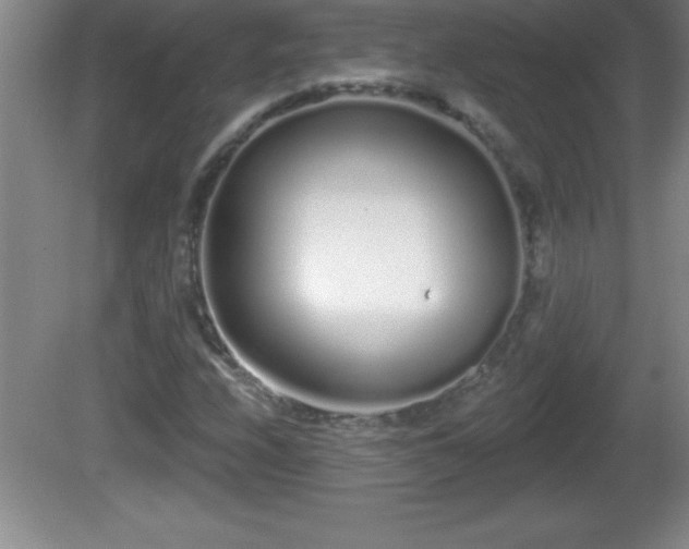 X0000081601208200701221128