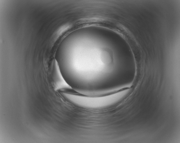 X0000081601210200701221128