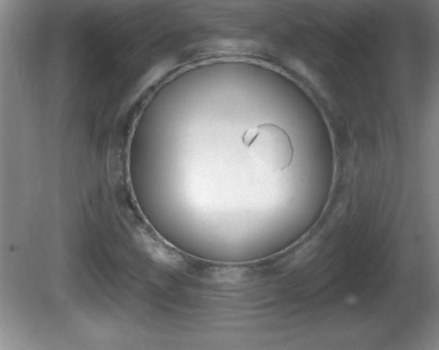 X0000081601211200701221128