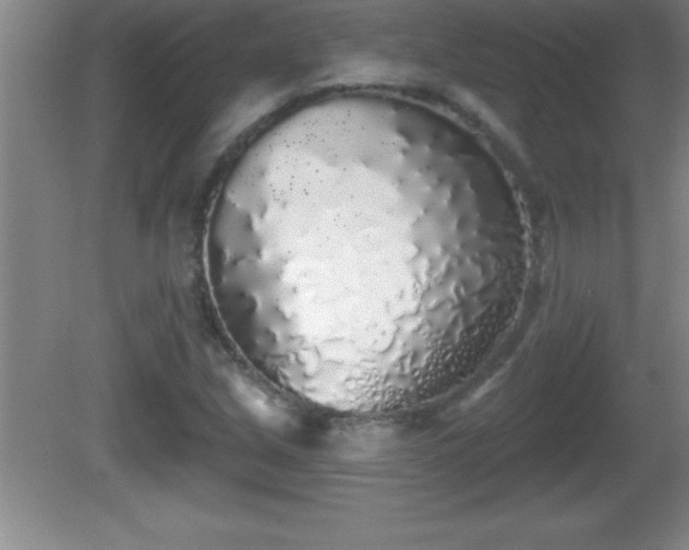 X0000081601213200701221128