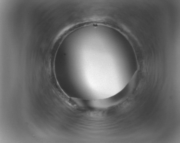 X0000081601214200701221128