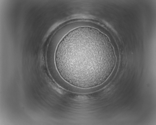 X0000081601215200701221128