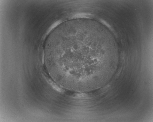 X0000081601219200701221128