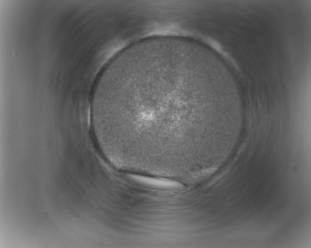 X0000081601221200701221128