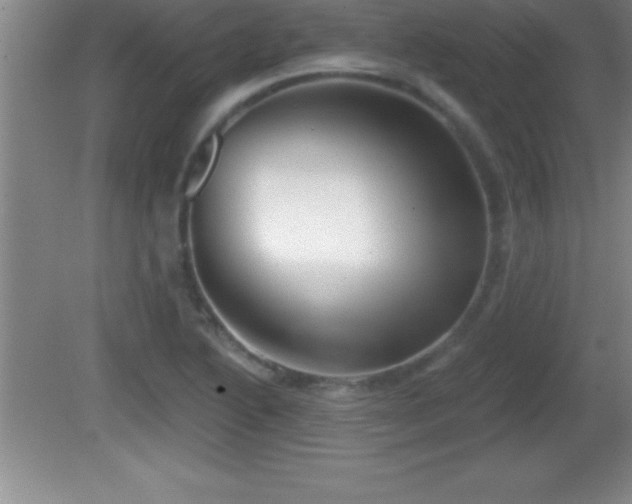 X0000081601222200701221128