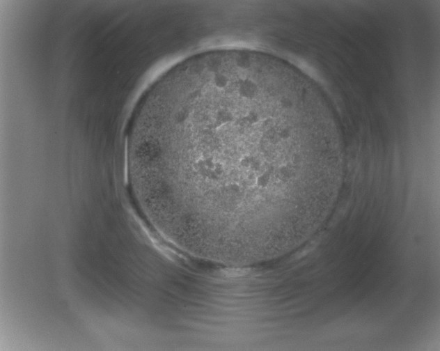 X0000081601223200701221128