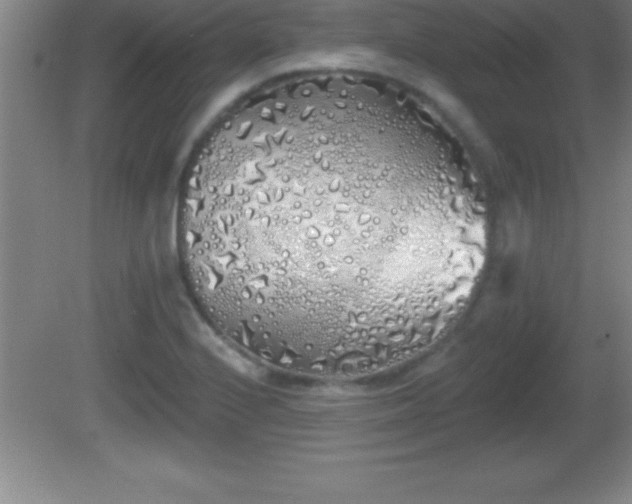 X0000081601224200701221128