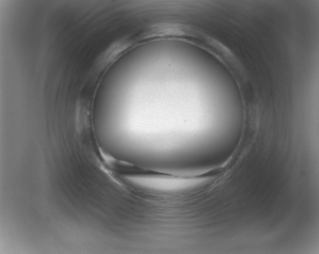 X0000081601225200701221128