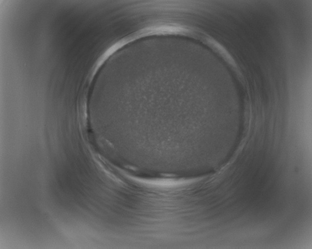 X0000081601226200701221128