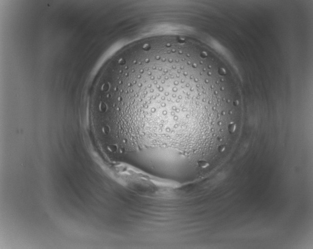 X0000081601227200701221128