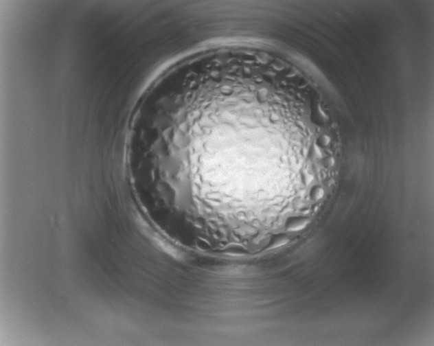 X0000081601228200701221128