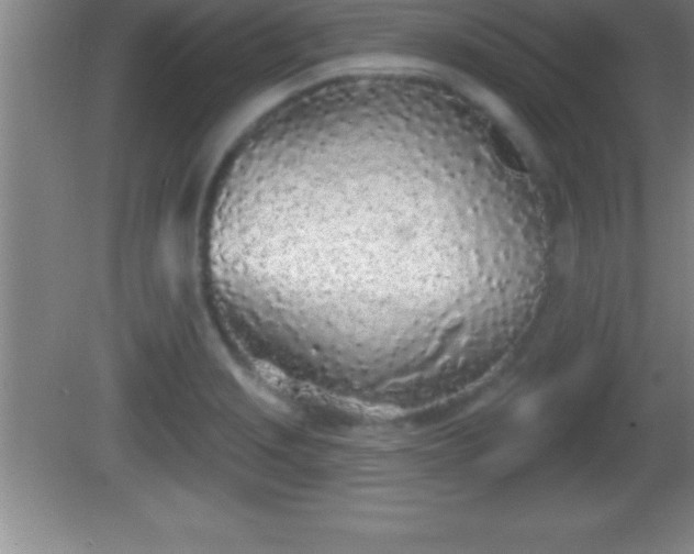 X0000081601229200701221128