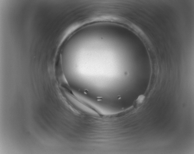 X0000081601230200701221128