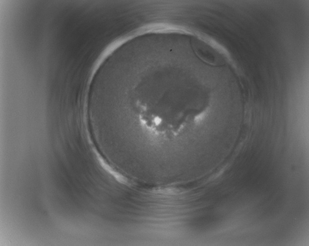 X0000081601231200701221128