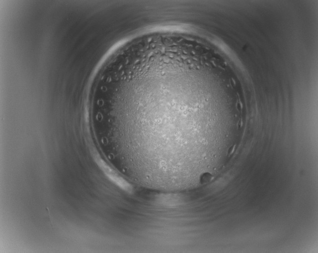 X0000081601232200701221128