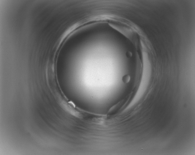 X0000081601234200701221128