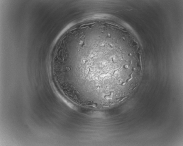 X0000081601235200701221128