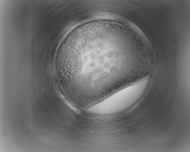 X0000081601236200701221128