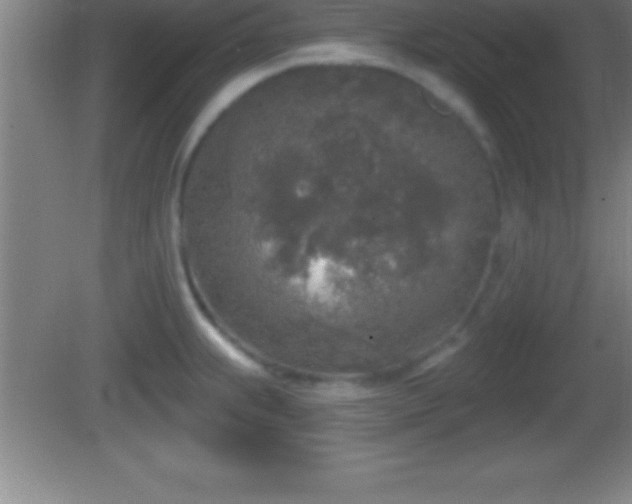 X0000081601239200701221128