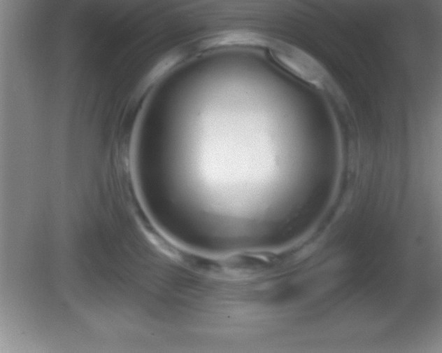 X0000081601241200701221128