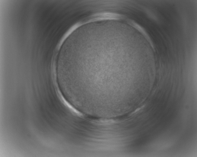 X0000081601243200701221128