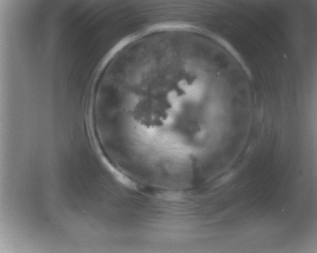 X0000081601245200701221128