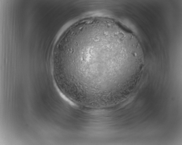 X0000081601247200701221128