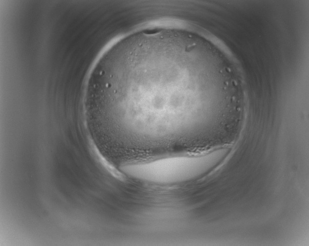 X0000081601248200701221128