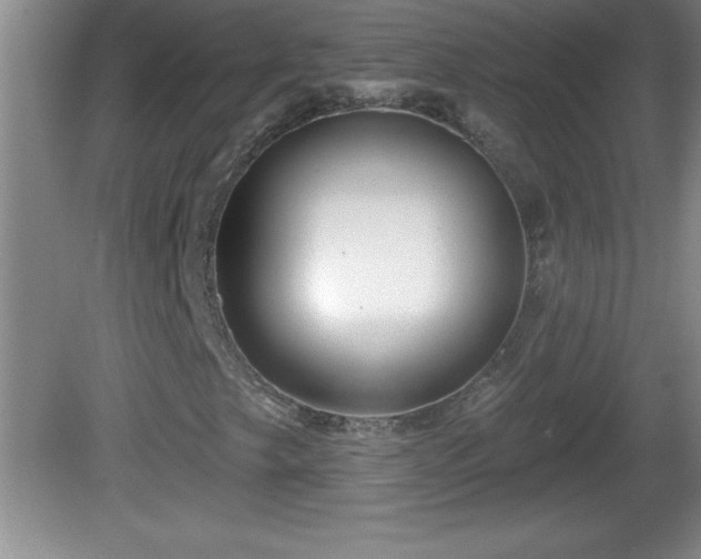 X0000081601249200701221127